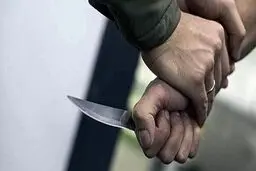  جزئیات حادثه زورگیری دو دانشجو

