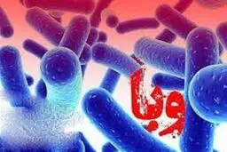 راه‌های پیشگیری از ابتلا به وبا/ وزارت بهداشت هشدار داد