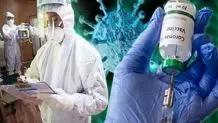 کرونای تازه کشف‌ شده در چین، تنها یک گام کوچک تا آلوده کردن انسان‌ فاصله دارد
