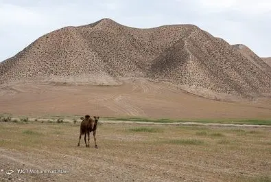 خشکسالی بی سابقه در منطقه ترکمن صحرا 
