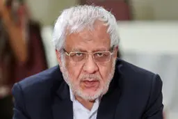 بادامچیان: به شورای نگهبان نوشتم که راه مشارکت گسترده را باز کند

