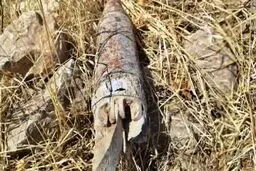 گلوله توپ جنگی در روستای کوییک کشف شد