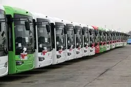 واردات هزار اتوبوس تا اربعین به کشور