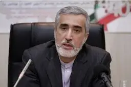 هشدار پیرصالحی نسبت به کمبود اقلام حیاتی
