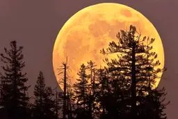 درخشش بزرگترین ابرماه از سال ۲۰۱۹؛ چهارشنبه 14 آبان ماه