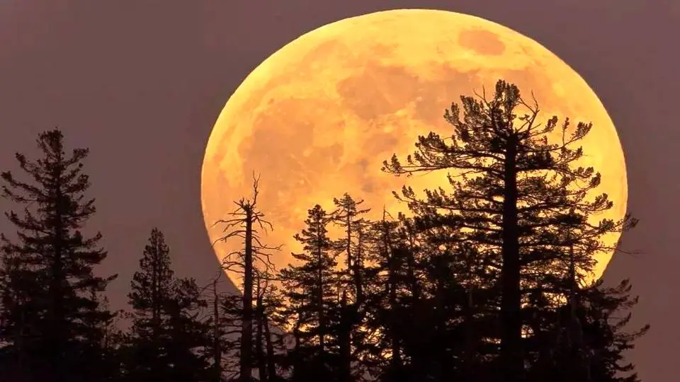 درخشش بزرگترین ابرماه از سال ۲۰۱۹؛ چهارشنبه 14 آبان ماه