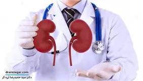 نقش اورولوژیست در درمان مشکلات زناشویی