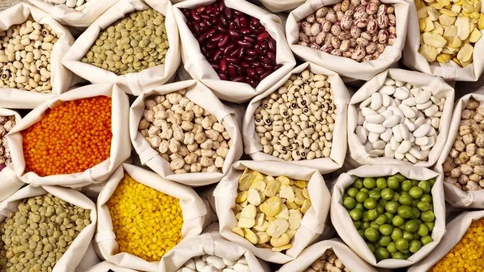 کاهش قیمت حبوبات در بازار؛ لوبیاچیتی ارزان شد