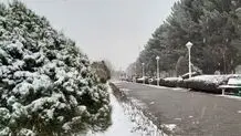 پیش بینی هوای زنجان ؛ جمعه 19 بهمن 
