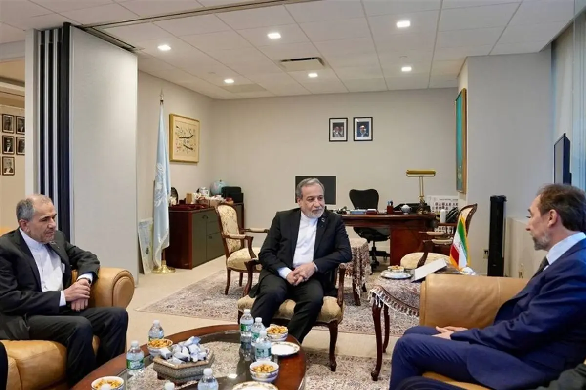 دیدار گروه ریش سفیدان بین المللی با عراقچی