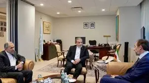 دیدار گروه ریش سفیدان بین المللی با عراقچی