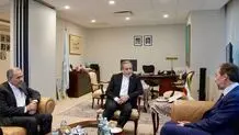دیدار گروه ریش سفیدان بین المللی با عراقچی