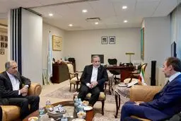 دیدار گروه ریش سفیدان بین المللی با عراقچی