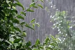 پیش بینی رگبار باران در برخی نقاط کشور/کاهش دمای نوار شمالی

