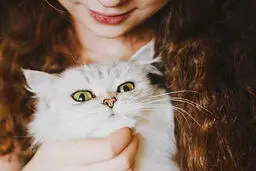 حیوان‌شویی؛ فریبی برای نشان‌دادن حیوان‌دوستی
