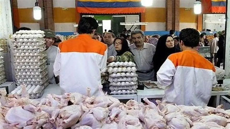 وزیر مجبور شد مرغ گران بخرد / دلیل گرانی مرغ قطعی برق است ؟