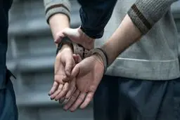 قتل همسایه برای یک بچه گربه