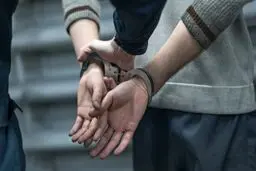 قتل همسایه برای یک بچه گربه