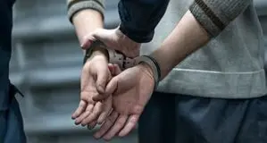 قتل همسایه برای یک بچه گربه