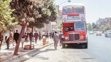 روزی برای «تهران»
