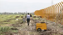 درخواست از سازمان امور اراضی برای بازپس‌گیری زمین «پتروشیمی میانکاله»
