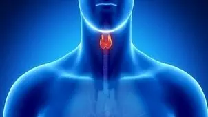 مراقب خرابی «پدال گاز» بدن باشید

