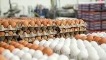 کاهش قیمت تخم مرغ در بازار

