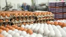 قیمت تخم مرغ؛ شنبه ۱۳ اریبهشت 