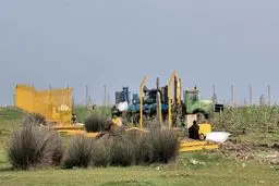خبر مهم درباره میانکاله