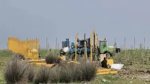 آخرین آمار از آسیب های وارد آمده بر میانکاله / سوختن ۵۳۶ هکتاز از پناهگاه حیات وحش 