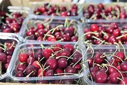 قیمت نجومی گیلاس نوبرانه