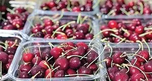 قیمت نجومی گیلاس نوبرانه