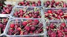 پس از گوجه سبز و چغاله بادام، گیلاس هم با قیمت میلیونی به بازار رسید!
