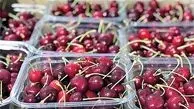 قیمت نجومی گیلاس نوبرانه