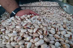 Iran pistachio exports to EU top €92m in 2023: Eurostat
