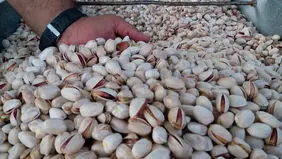 Iran pistachio exports to EU top €92m in 2023: Eurostat