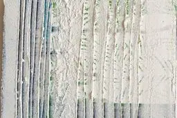 کار هنر انتقال نیست، دگردیسی است