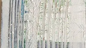 کار هنر انتقال نیست، دگردیسی است