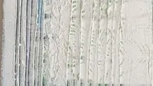کار هنر انتقال نیست، دگردیسی است
