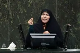 چنارانی: نمی‌توانم به چشم مردم حوزه انتخابیه نگاه کنم/ فاطمی‌امین توانایی اداره وزارتخانه را ندارد