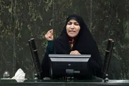 چنارانی: نمی‌توانم به چشم مردم حوزه انتخابیه نگاه کنم/ فاطمی‌امین توانایی اداره وزارتخانه را ندارد