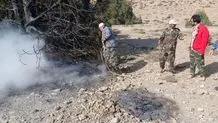 آتش‌سوزی گسترده در حیفا
