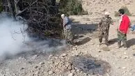 آتش‌سوزی در چهارباغ شاهرود با بی‌احتیاطی گردشگران