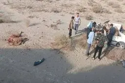 تصادف با شتر جان جوان ۲۲ ساله را گرفت

