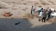 شترهای سرگردان دوباره در جاسک حادثه آفریدند