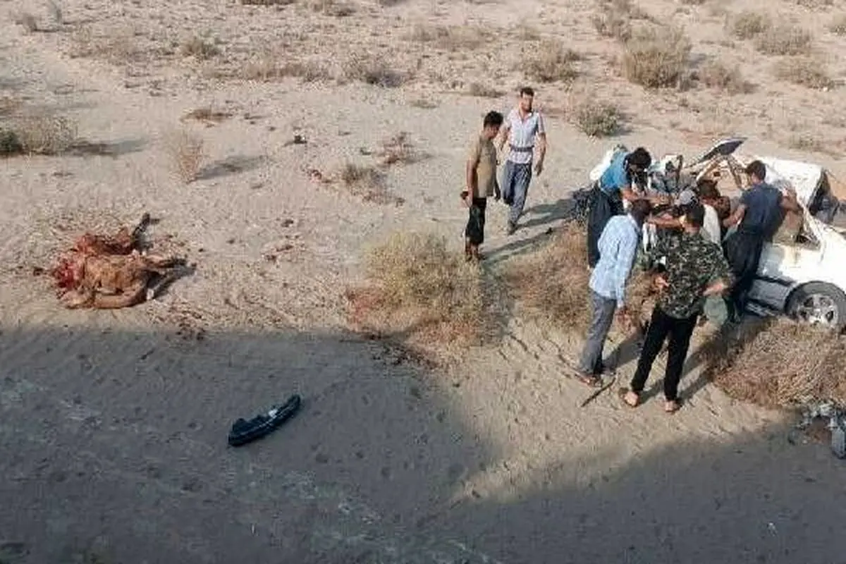 تصادف با شتر جان جوان ۲۲ ساله را گرفت

