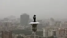 هوای پایتخت همچنان ناسالم برای همه گروه‌ها