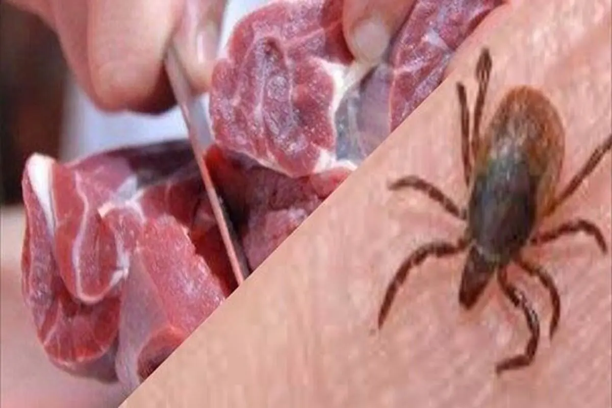 مرگ ۳ نفر و ابتلای ۲۸ نفر بر اثر بیماری تب کریمه کنگو در کشور