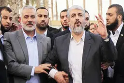 من جاسوسی می‌کنم!

