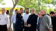 تکثیر زیبایی در پایتخت؛ ۱۰۰ هکتار گل محمدی در شمال تهران کاشته می‌شود